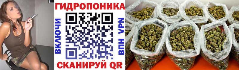 Все наркотики Кудымкар A PVP Меф мяу мяу ГЕРОИН ГАШ Конопля Cocaine