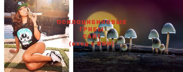 гидра Покровск