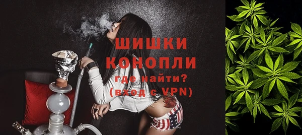 кокс Белокуриха