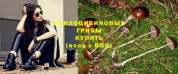 спайс Беломорск
