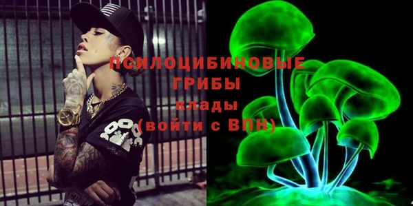 кокс Белокуриха
