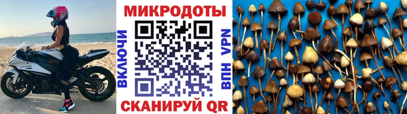 ОМГ ОМГ ТОР  Кудымкар  Галлюциногенные грибы мицелий  купить наркотик 