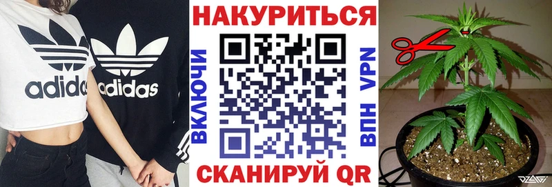 mega онион  купить  сайты  Кудымкар  Конопля Ganja 